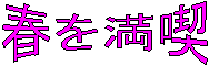 �t�𖞋i